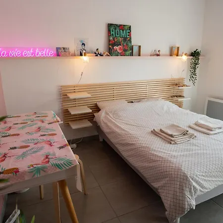 Riboleys - T2 Climatise Avec Wifi Et Piscine *