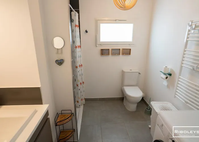 Apartment Riboleys - Klimatisierte T2 Mit Wifi Und Pool *